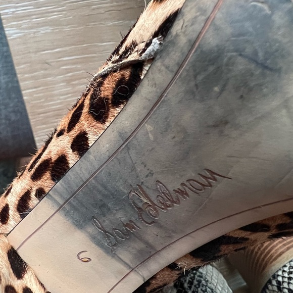Sam Edelman booties. Leopard print. Size 6 - Picture 6 of 6